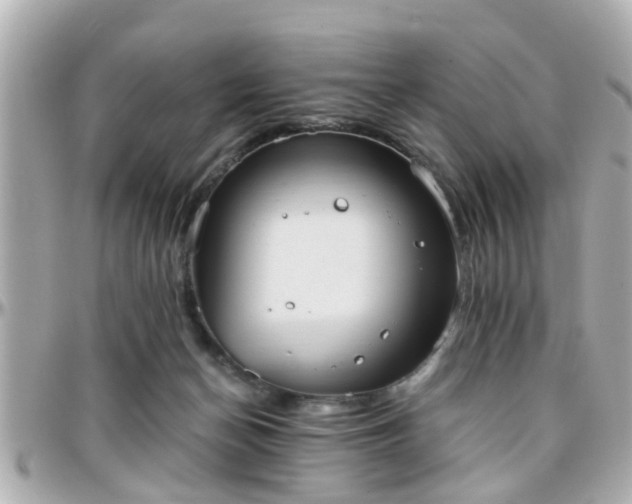 X0000096200174200801251020