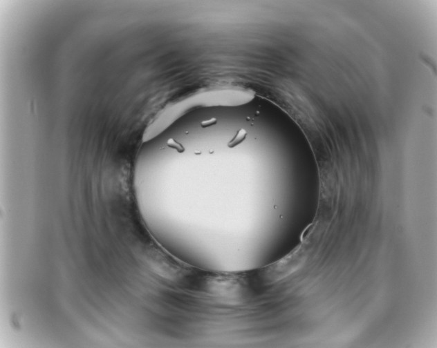 X0000096200175200801251020