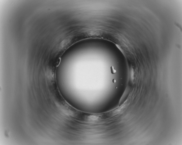 X0000096200176200801251020