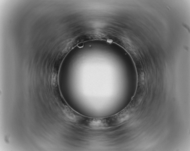 X0000096200177200801251020