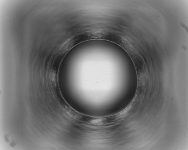 X0000096200178200801251020