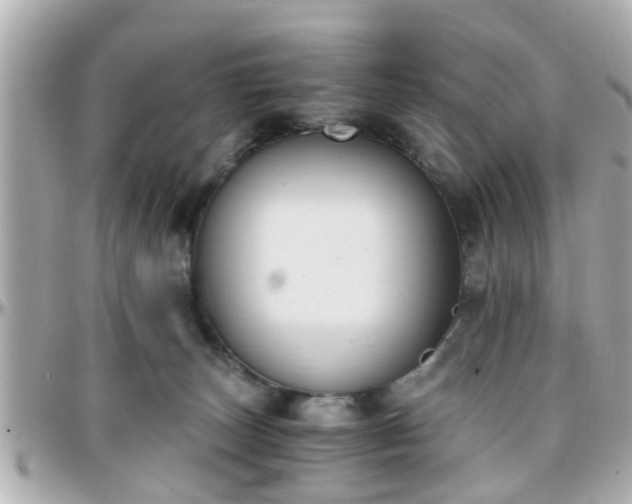 X0000096200179200801251020