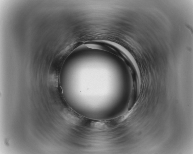 X0000096200180200801251020