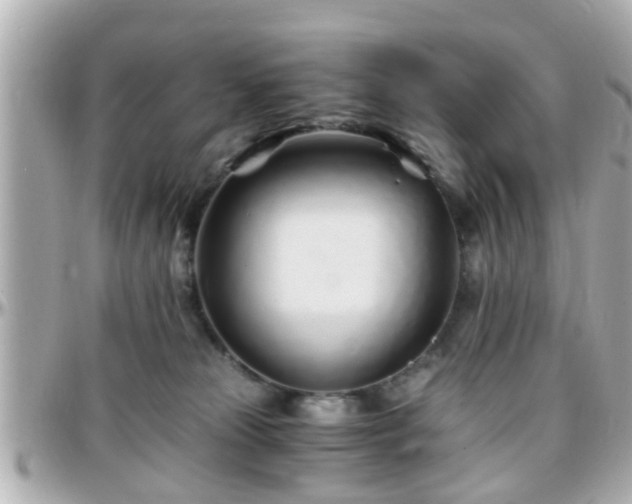 X0000096200181200801251020