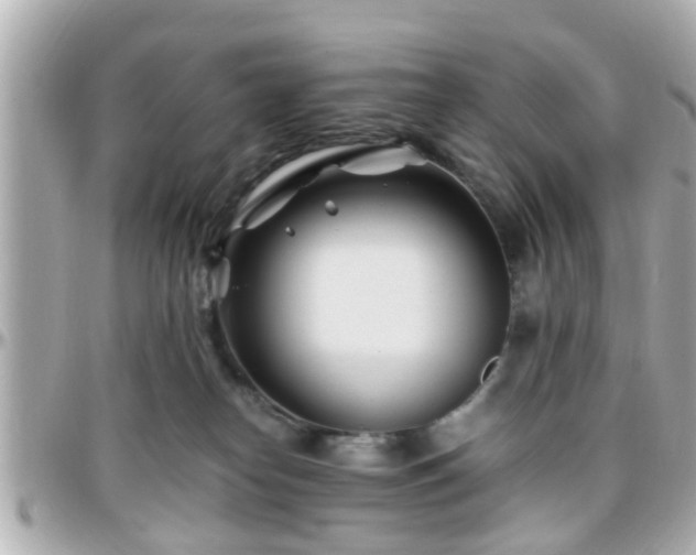 X0000096200182200801251020