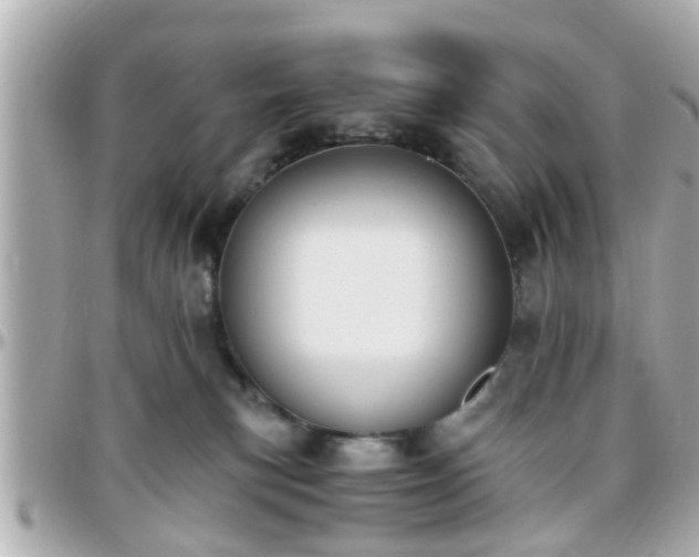 X0000096200183200801251020