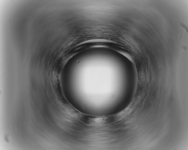 X0000096200184200801251020