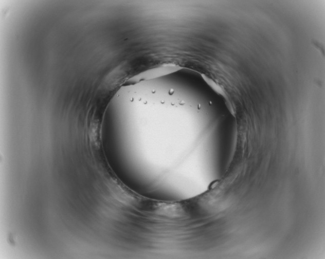 X0000096200185200801251020