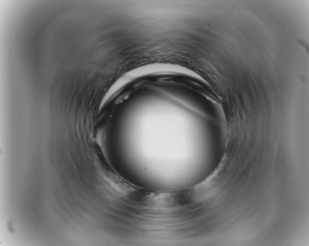 X0000096200186200801251020