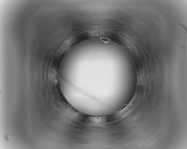 X0000096200187200801251020