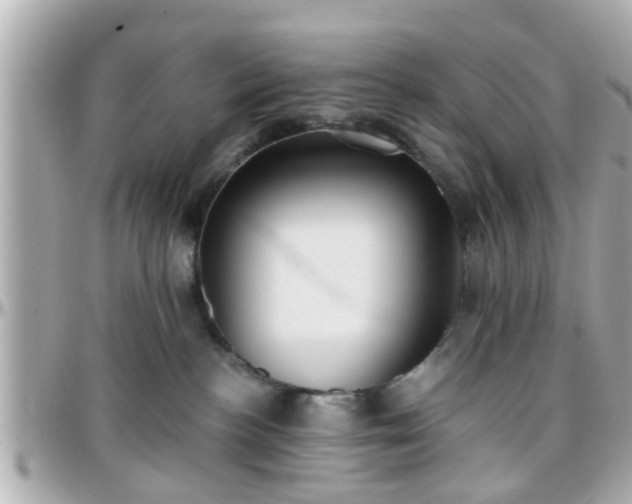 X0000096200188200801251020