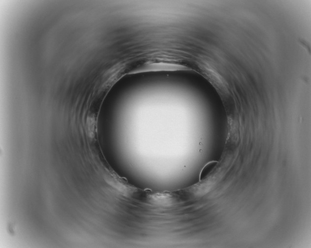 X0000096200189200801251020