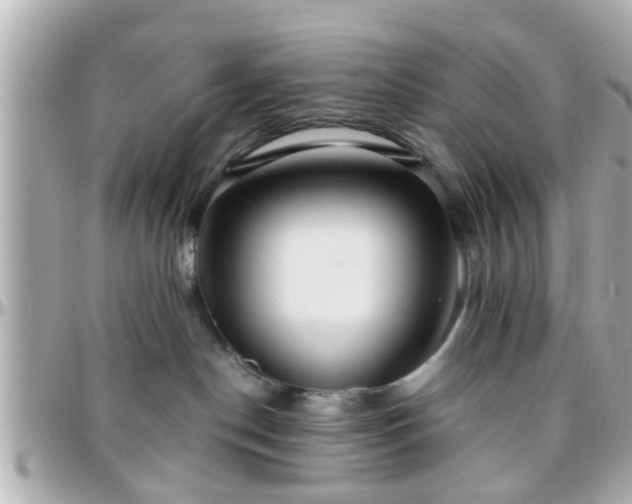 X0000096200190200801251020