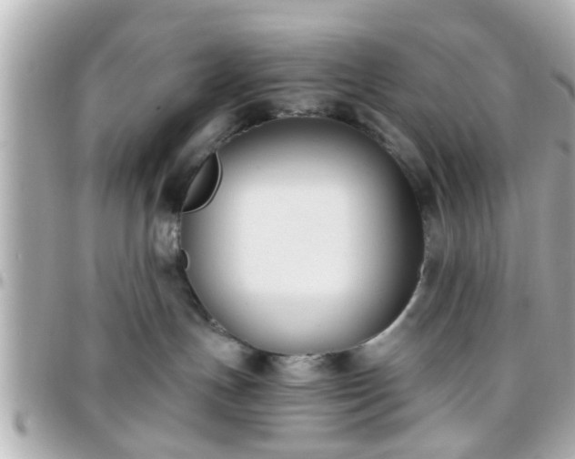 X0000096200191200801251020