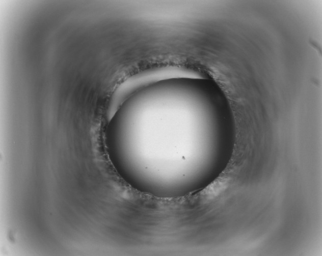 X0000096200192200801251020