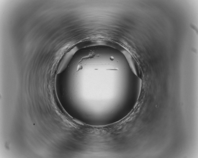 X0000096200193200801251020