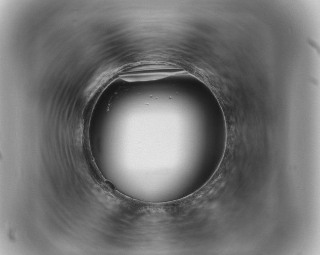 X0000096200194200801251020