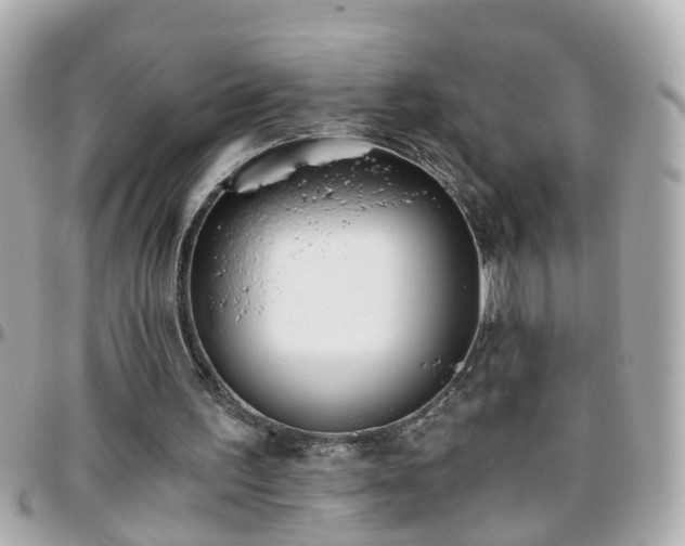 X0000096200195200801251020