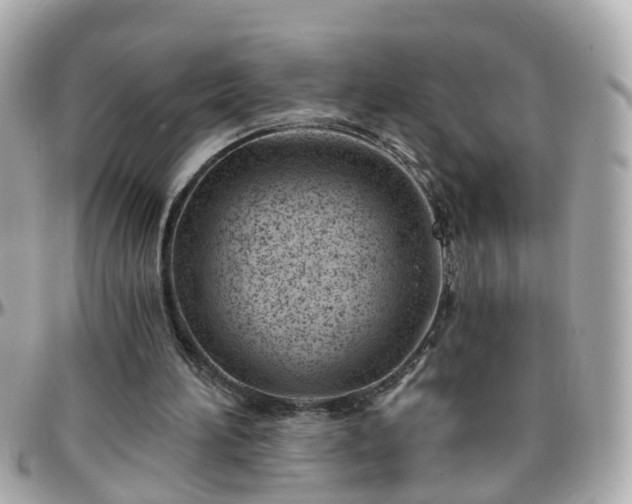 X0000096200196200801251020