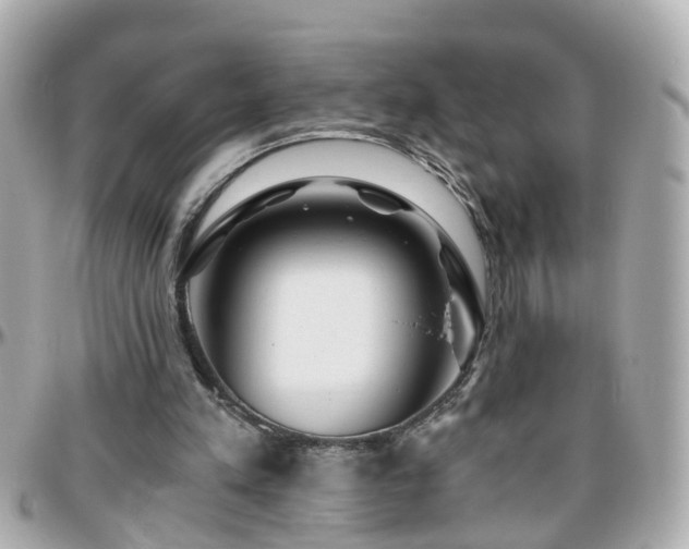 X0000096200197200801251020