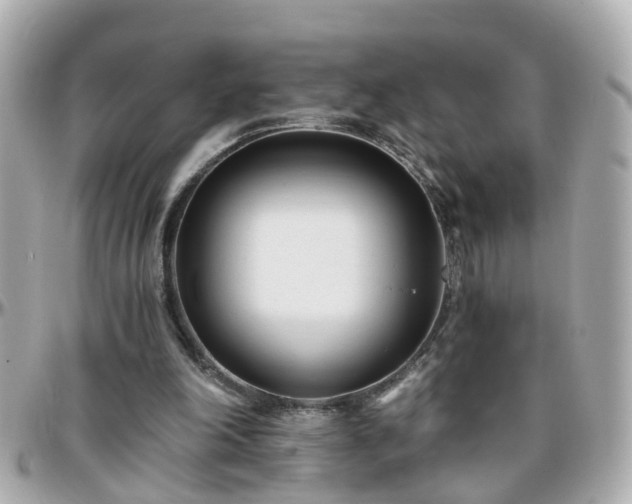 X0000096200198200801251020