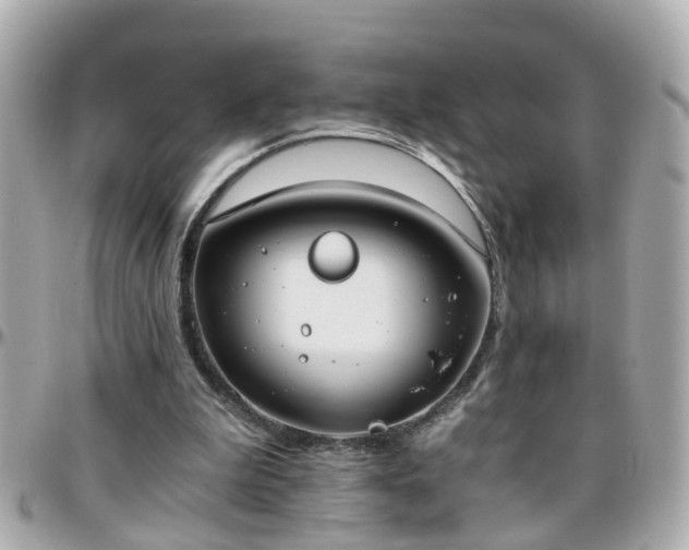 X0000096200199200801251020