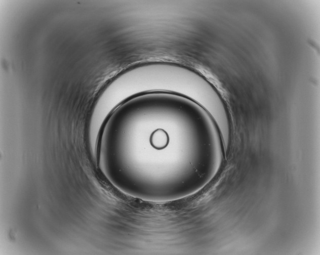 X0000096200201200801251020