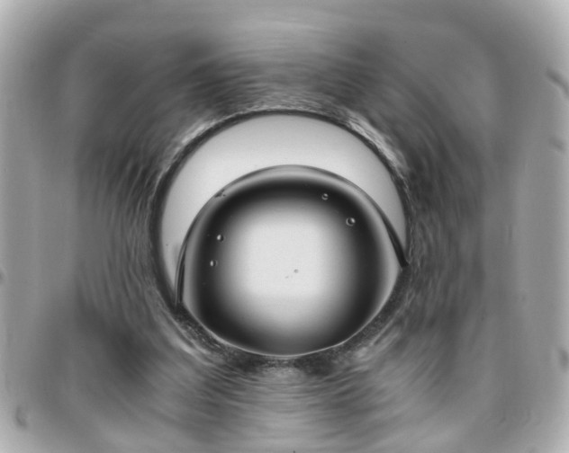 X0000096200203200801251020