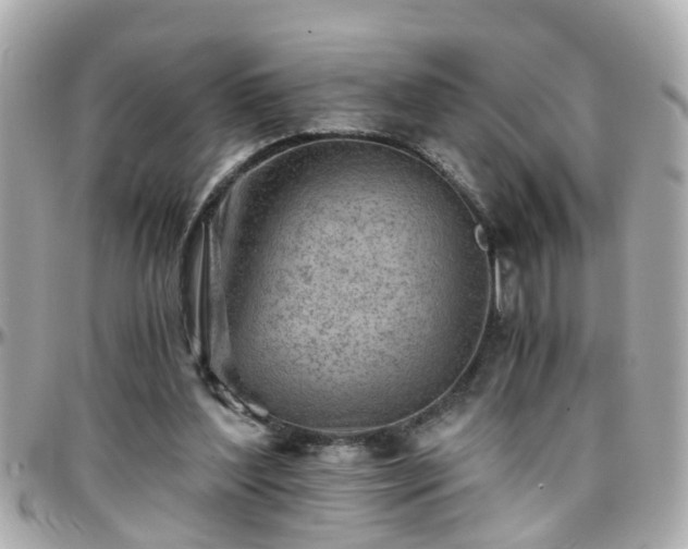 X0000096200204200801251020