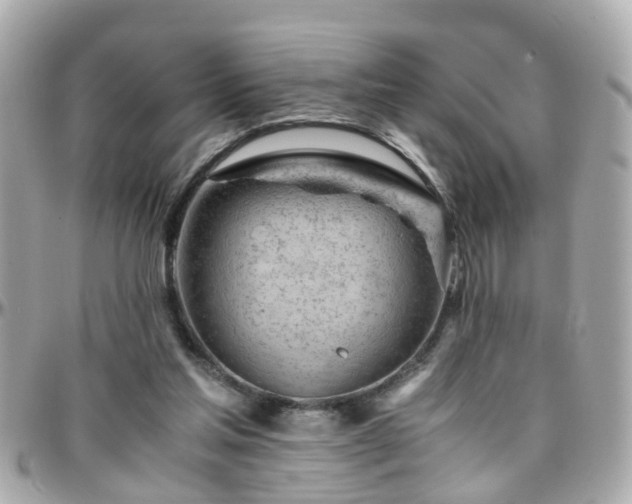 X0000096200205200801251020