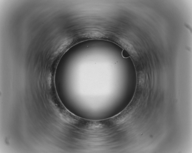 X0000096200206200801251020