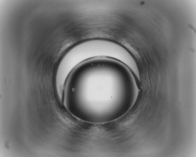 X0000096200207200801251019