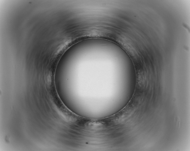 X0000096200208200801251019