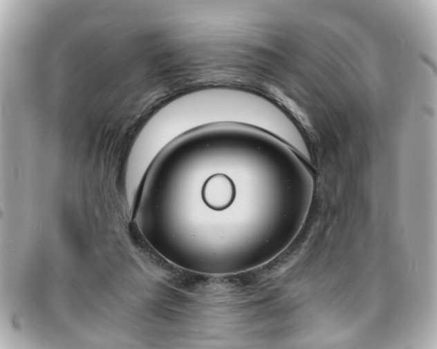 X0000096200209200801251019