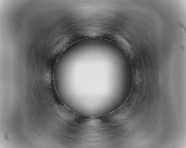 X0000096200210200801251019