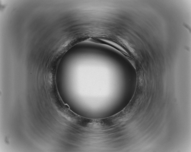 X0000096200211200801251019