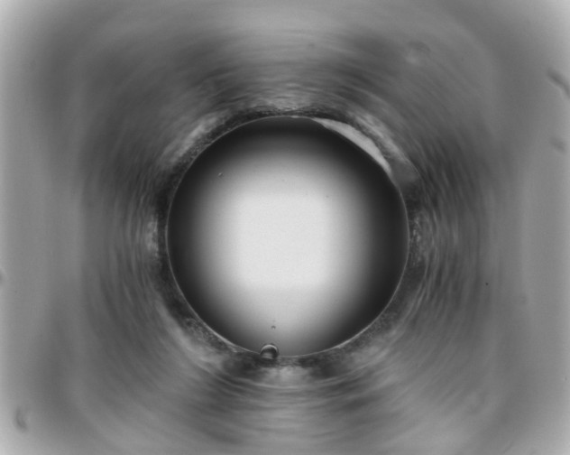 X0000096200212200801251019