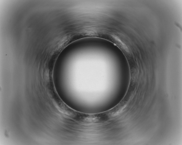 X0000096200213200801251019