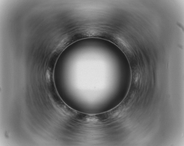 X0000096200214200801251019