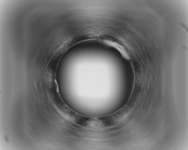 X0000096200215200801251019