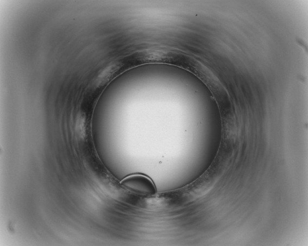 X0000096200216200801251019