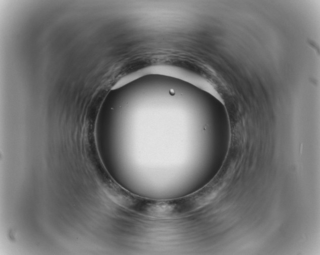 X0000096200217200801251019