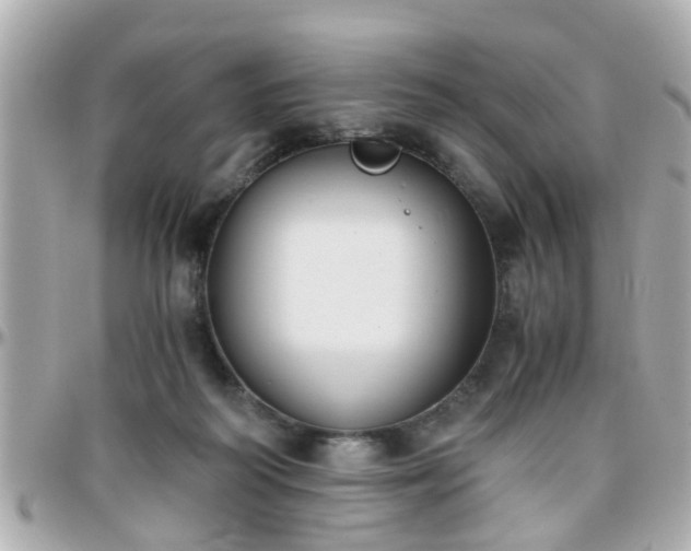 X0000096200218200801251019