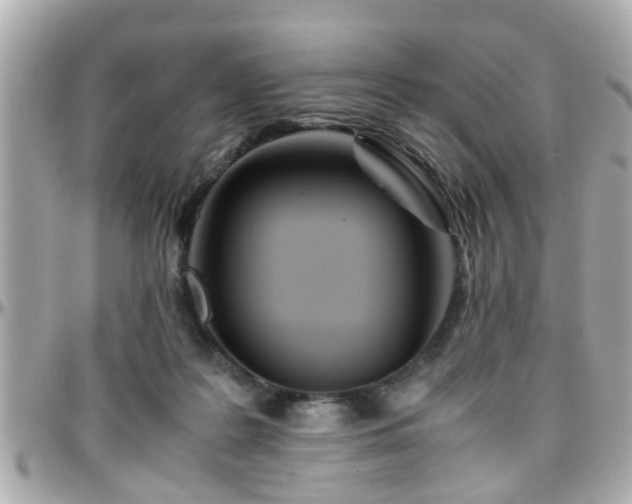 X0000096200219200801251019