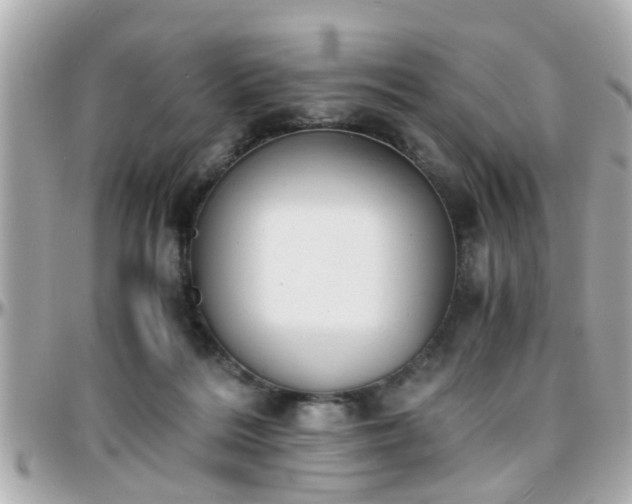 X0000096200220200801251019