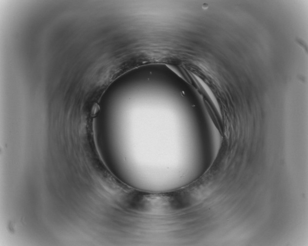 X0000096200221200801251019