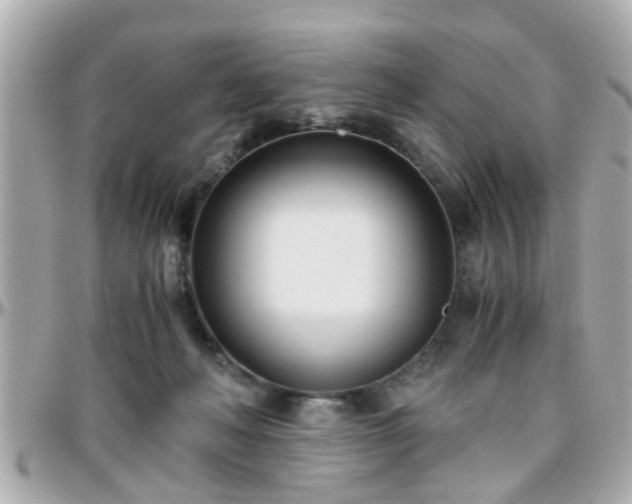 X0000096200222200801251019