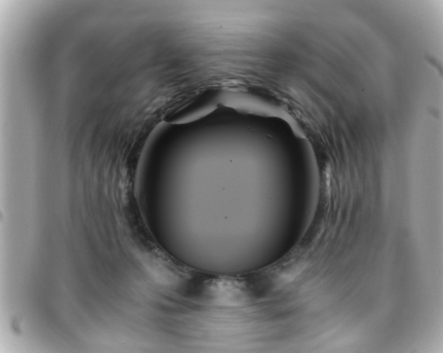 X0000096200223200801251019