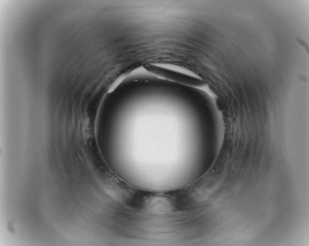 X0000096200224200801251019