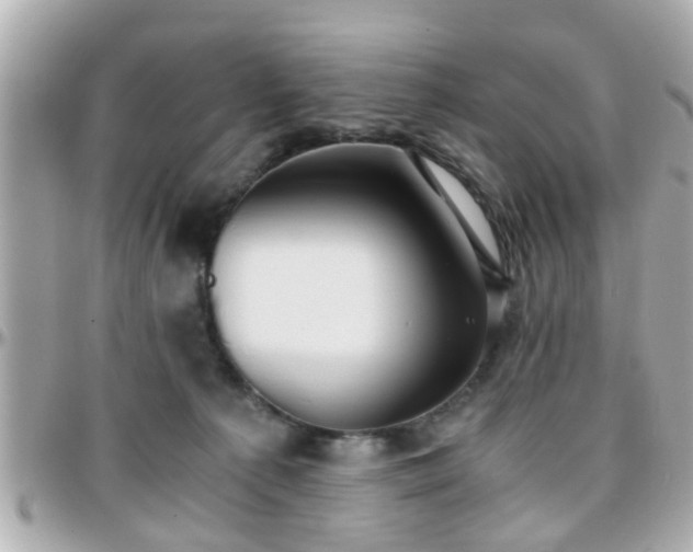 X0000096200225200801251019